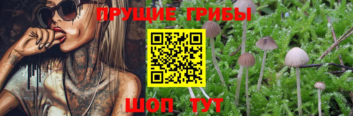 Псилоцибиновые грибы мухоморы Берёзовский