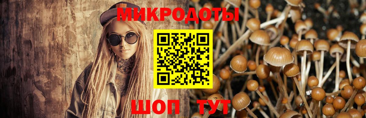 Галлюциногенные грибы мухоморы  Псилоцибиновые грибы Magic Shrooms  Вход с VPN  Берёзовский 